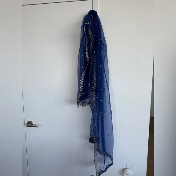 Elegant Royal Blue Embroidered Lehenga - Picture 13 of 13